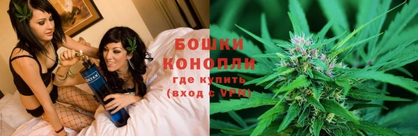 дживик Заводоуковск