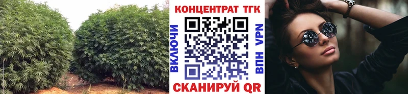 Купить Калач ТГК концентрат