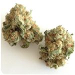 Шишки "White Widow"  (Белая вдова)  Гидропоника -  Бошка VHQ в Калаче